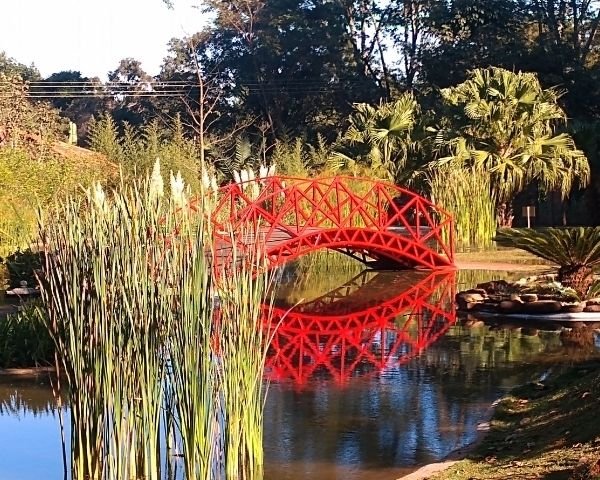 Momentos 2021 - Jardim Botânico